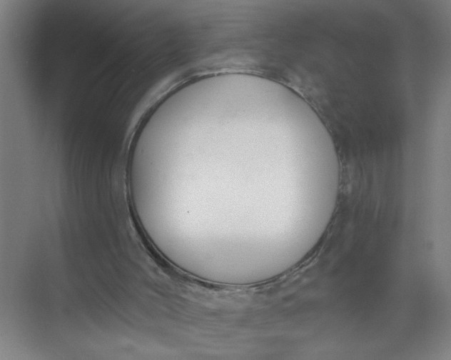 X0000073970004200609051857