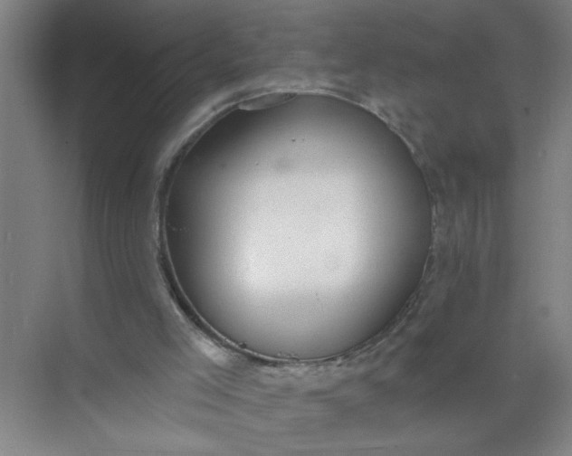 X0000073970005200609051857