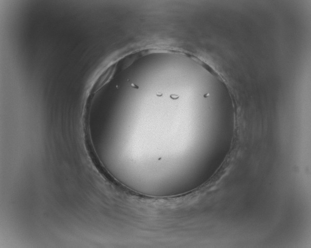 X0000073970007200609051857