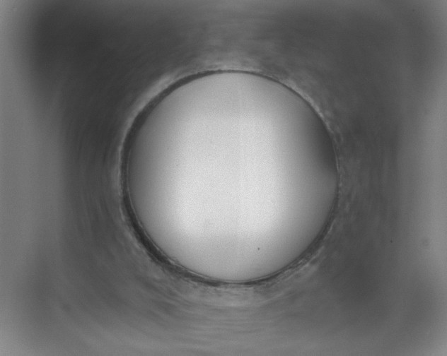 X0000073970008200609051857