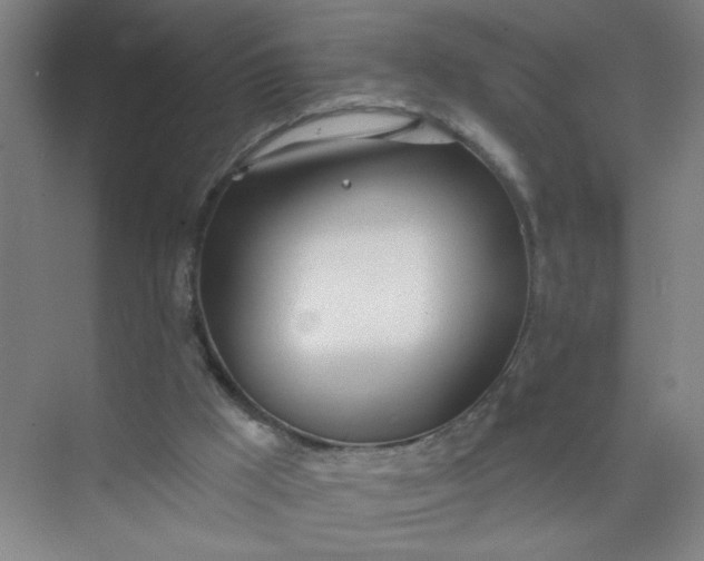 X0000073970009200609051857