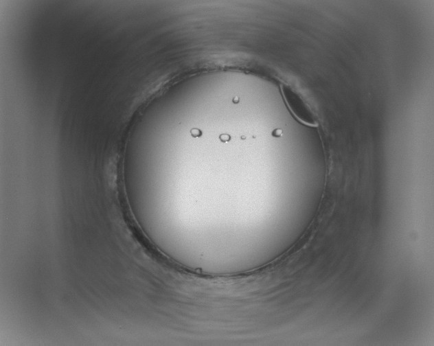 X0000073970010200609051857