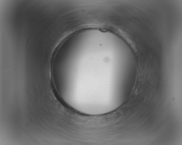 X0000073970011200609051857