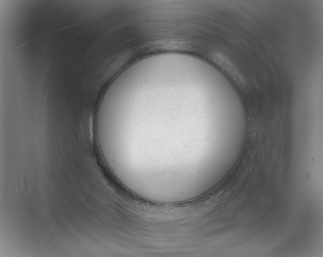 X0000073970014200609051857