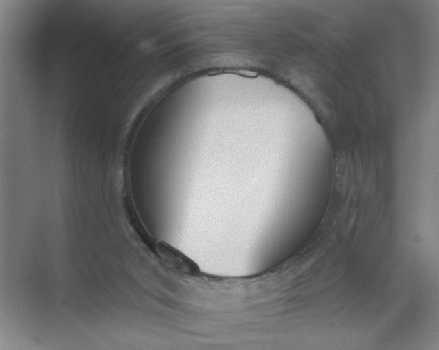 X0000073970015200609051857