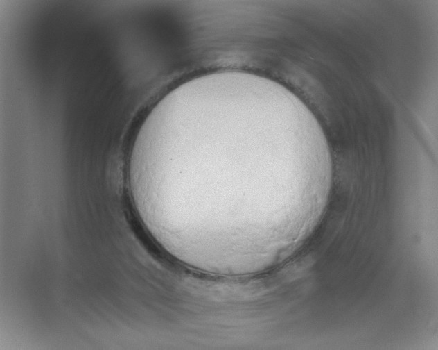 X0000073970016200609051857