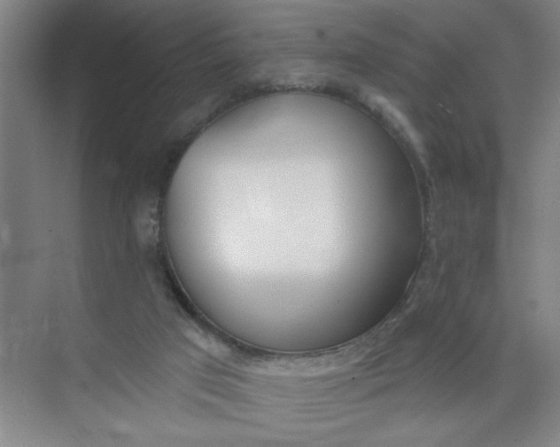 X0000073970017200609051857