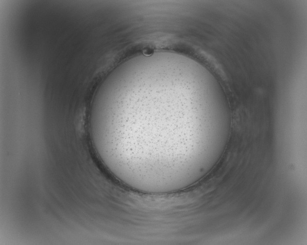 X0000073970018200609051857