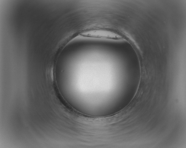 X0000073970019200609051857