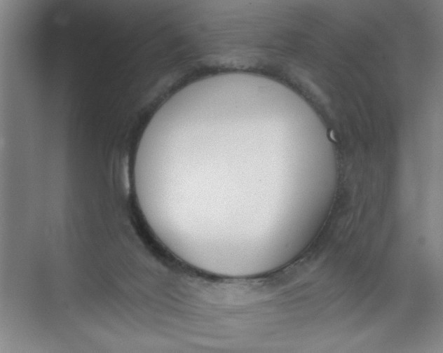 X0000073970020200609051857