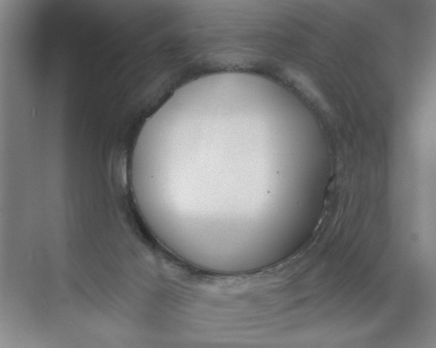 X0000073970021200609051857