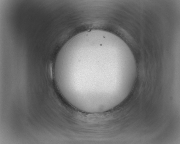 X0000073970022200609051857