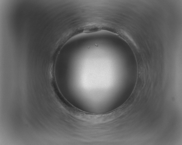 X0000073970023200609051857