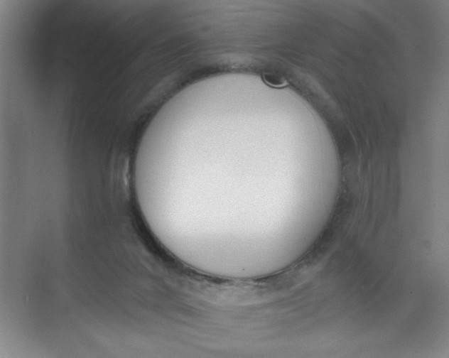 X0000073970024200609051857