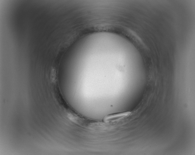 X0000073970025200609051857