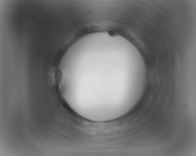 X0000073970026200609051857