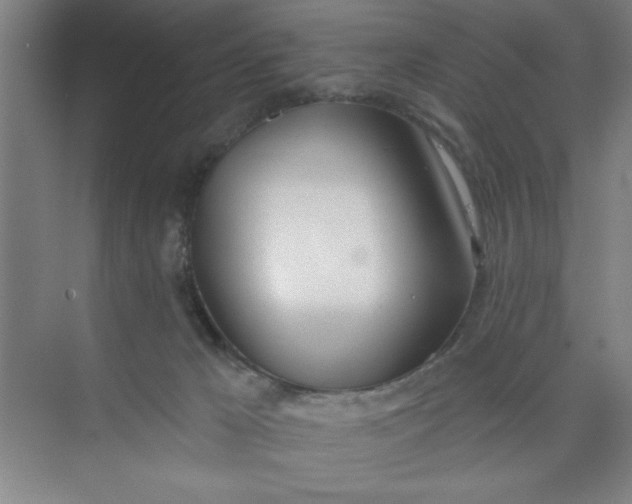 X0000073970029200609051857