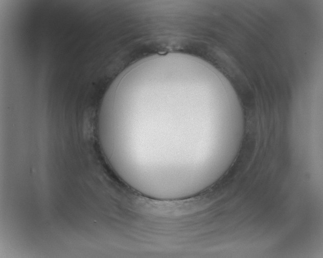 X0000073970030200609051857