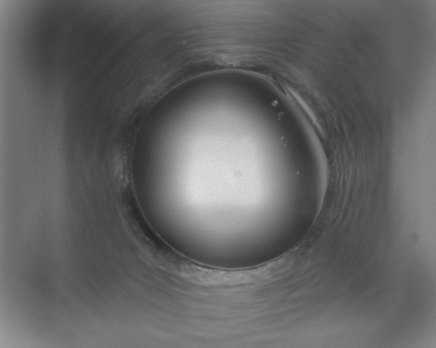 X0000073970031200609051857