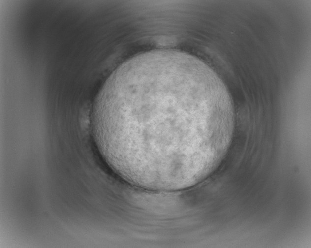 X0000073970032200609051857