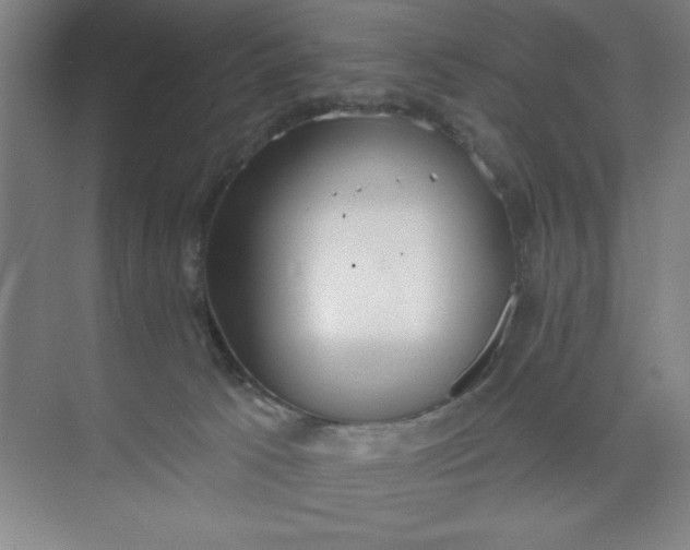 X0000073970033200609051857