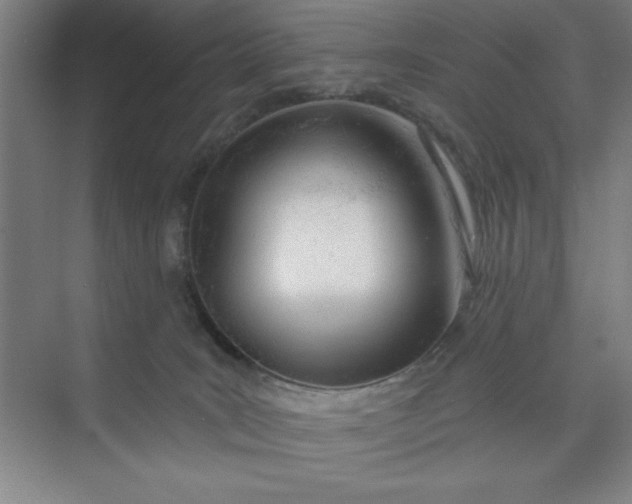 X0000073970035200609051856