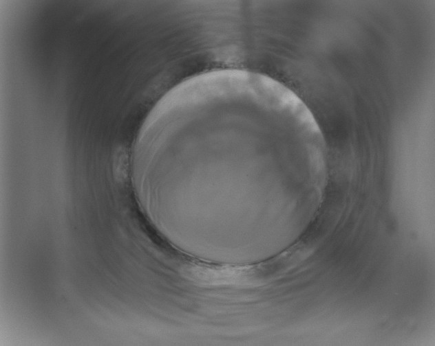 X0000073970036200609051856