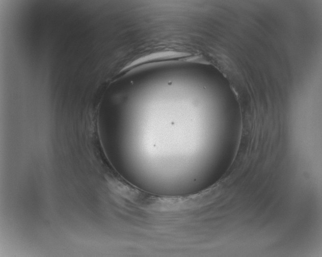 X0000073970037200609051856