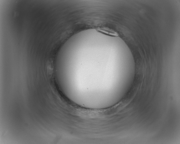 X0000073970040200609051856