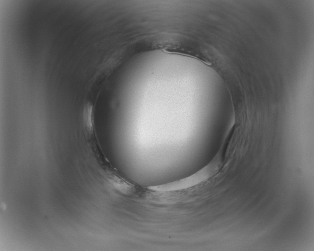 X0000073970041200609051856