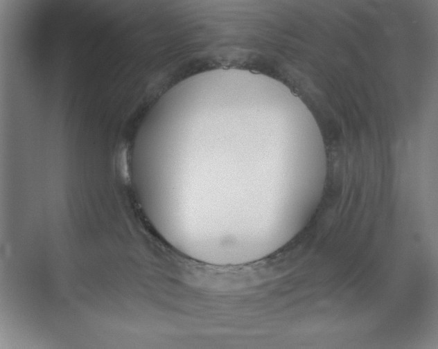 X0000073970042200609051856