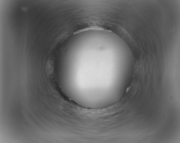 X0000073970043200609051856