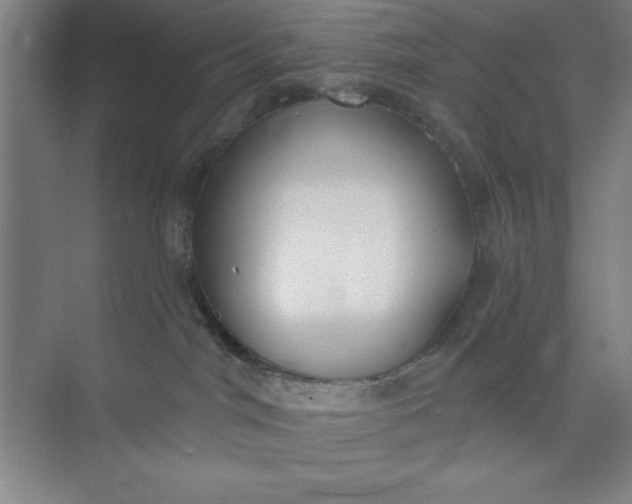 X0000073970044200609051856