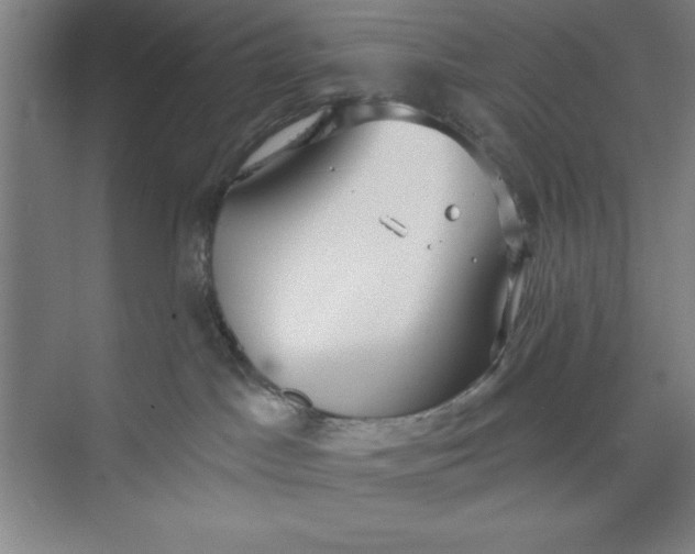 X0000073970045200609051856