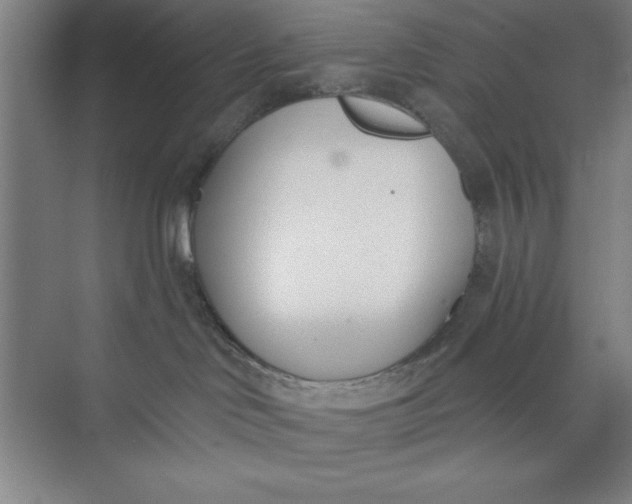 X0000073970046200609051856