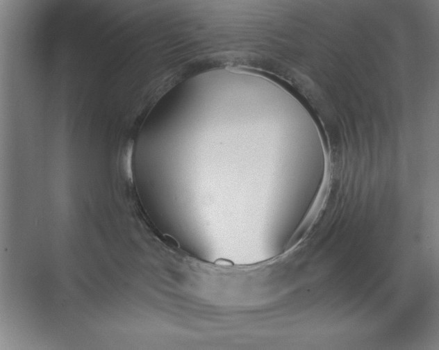 X0000073970047200609051856