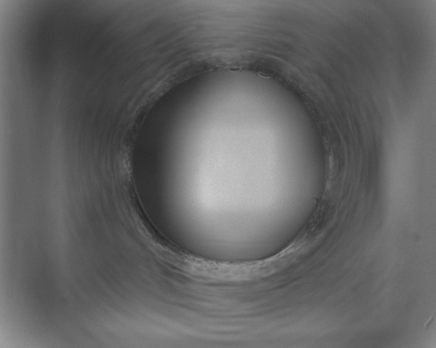 X0000073970048200609051856