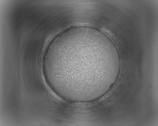 X0000073970049200609051855