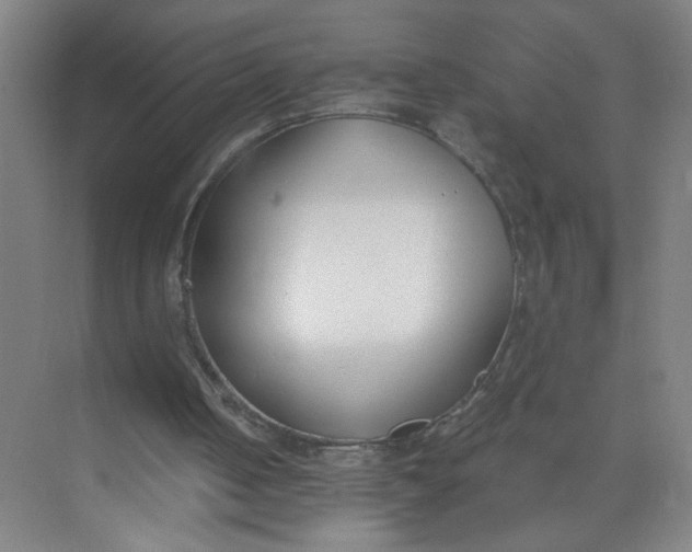 X0000073970050200609051855