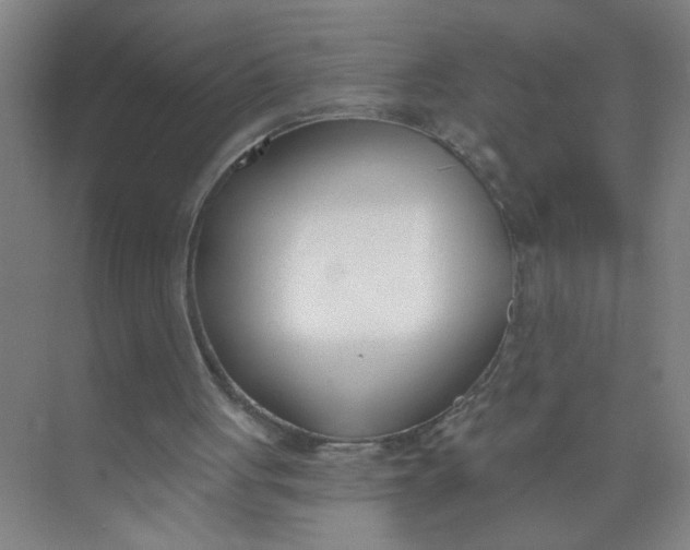 X0000073970051200609051855