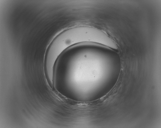 X0000073970052200609051856