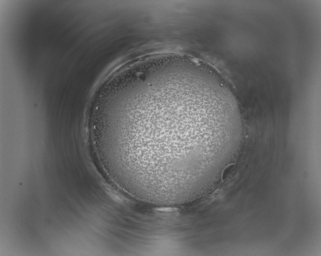 X0000073970053200609051856