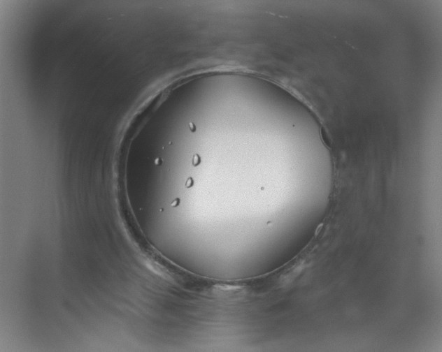 X0000073970055200609051856