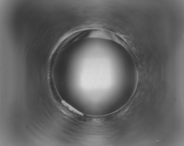 X0000073970056200609051856