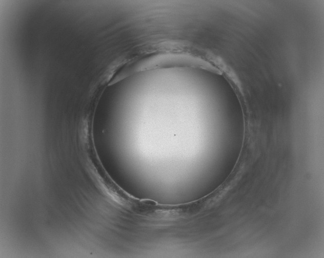 X0000073970057200609051856