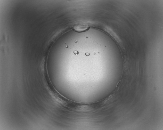 X0000073970058200609051856