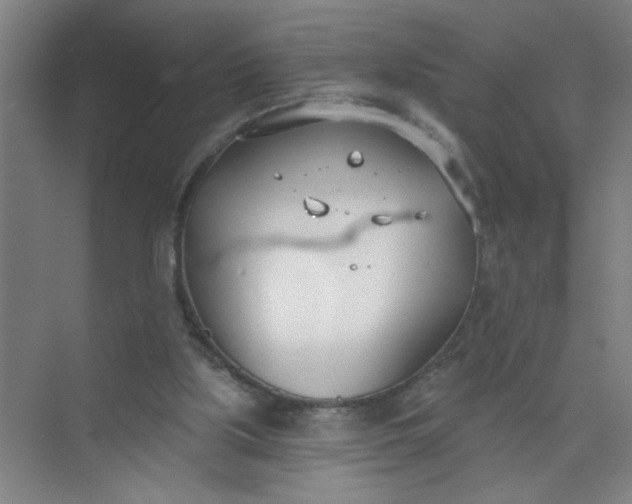 X0000073970059200609051856