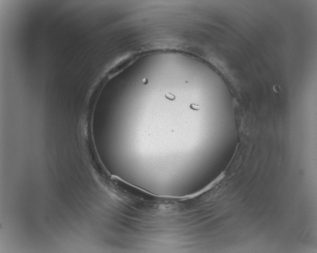 X0000073970060200609051856