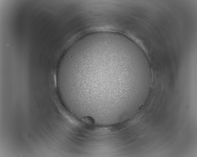 X0000073970061200609051856