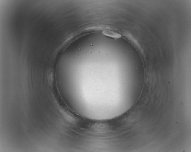 X0000073970063200609051856